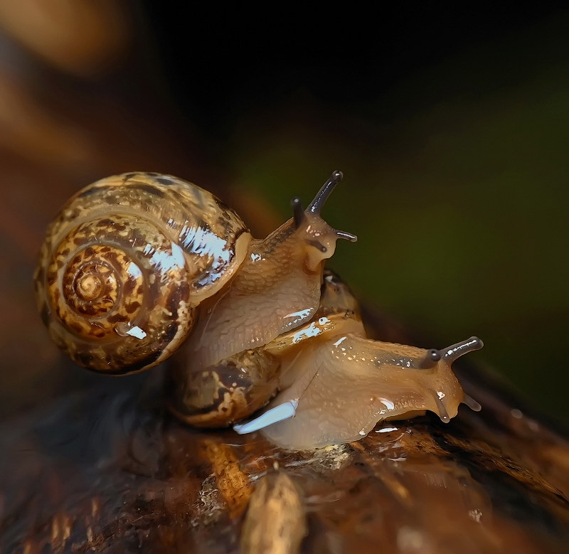 А мы такие вот..
