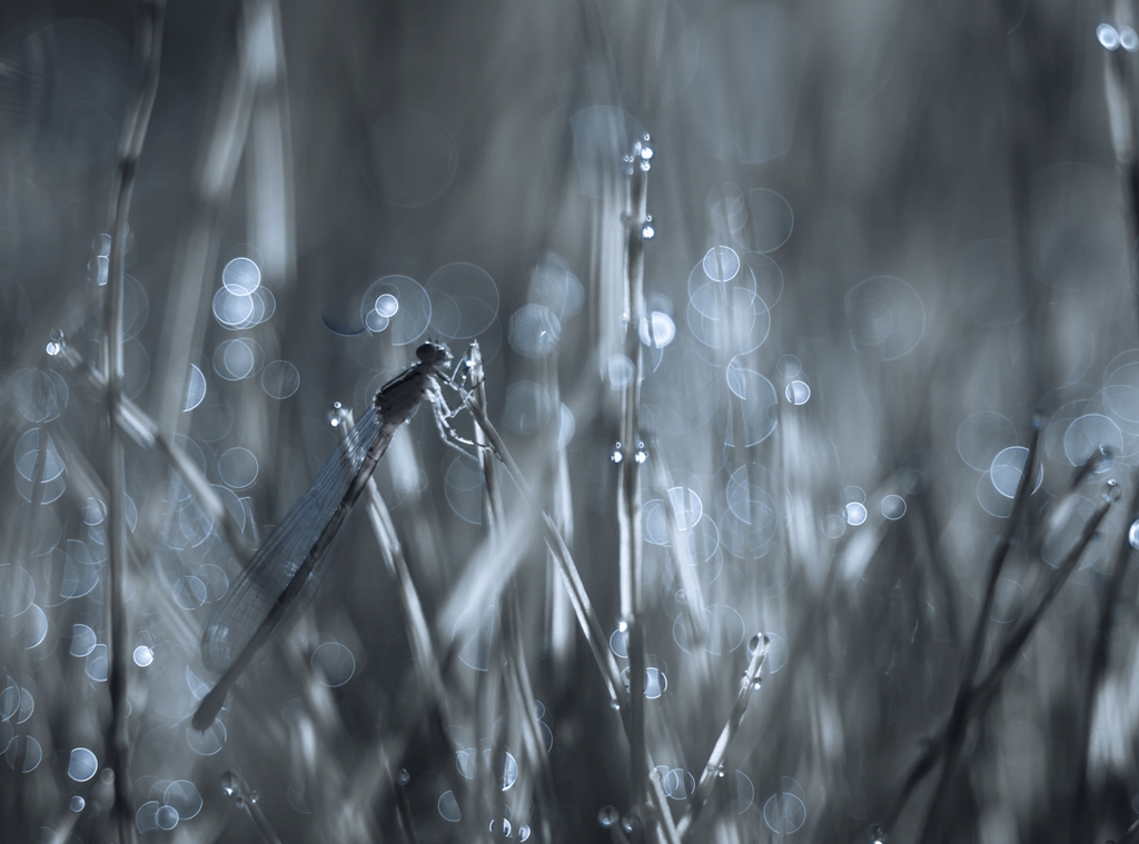 Вспомним теплые деньки...