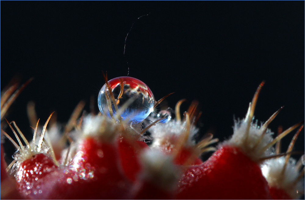 Есть ли жизнь на Марсе?