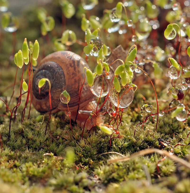 Ну, и как я тут оказался...???
