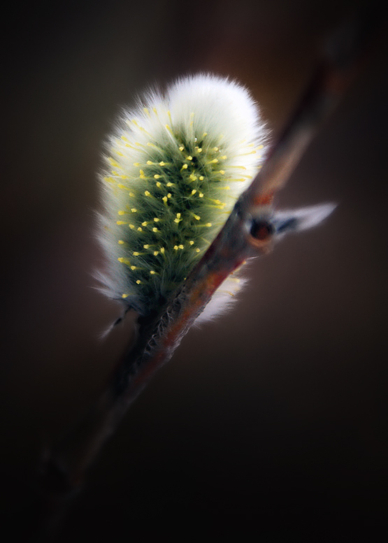 Кто подсказал эту музыку твоей душе?(с)