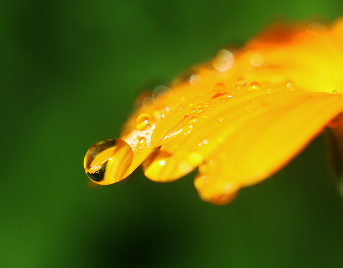 После дождя