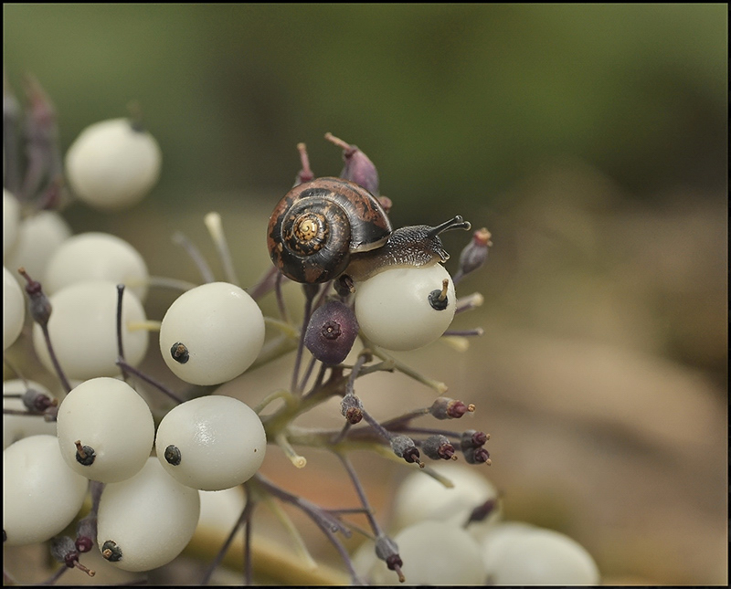 Красивая и нечаянная любовь...