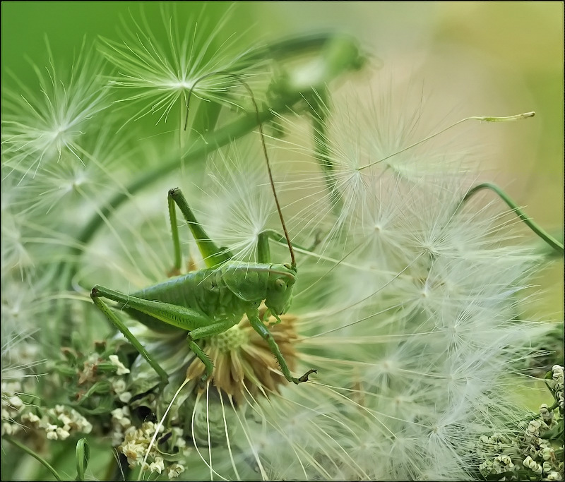 Легко  прописался...:-)))