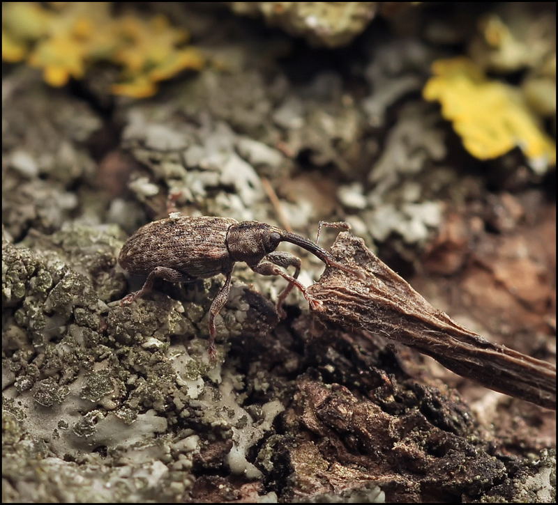 Первый шаг к весне...