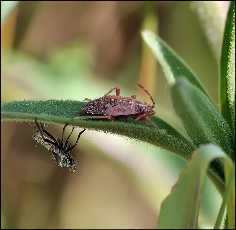 И кто здесь мумия...???