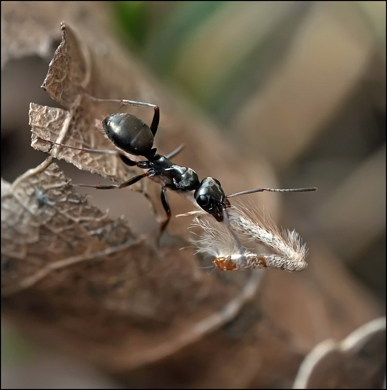 Проснувшийся к ПервоМаю...