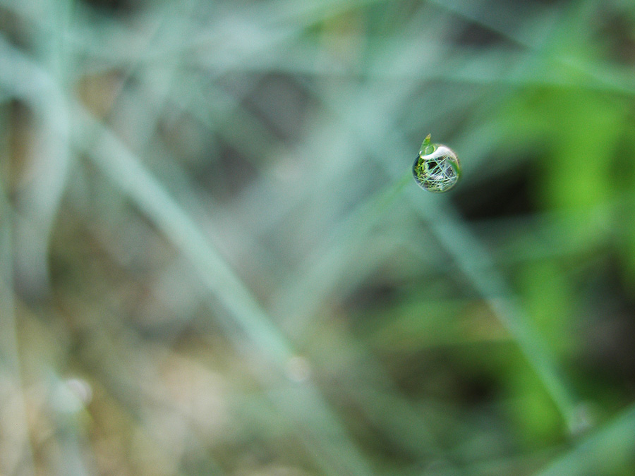 Глазами капли