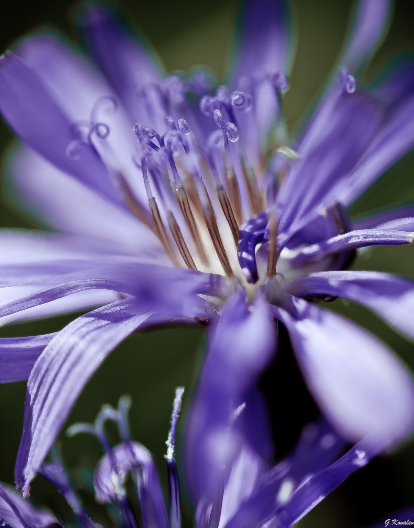 Вдохновение..