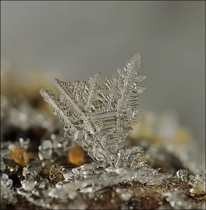 Слёзы моря...