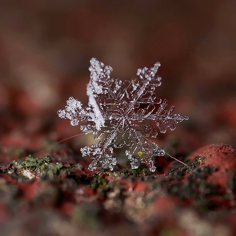 ПодСТАВКА...