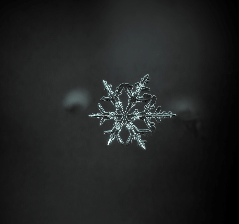 Ночная звезда...