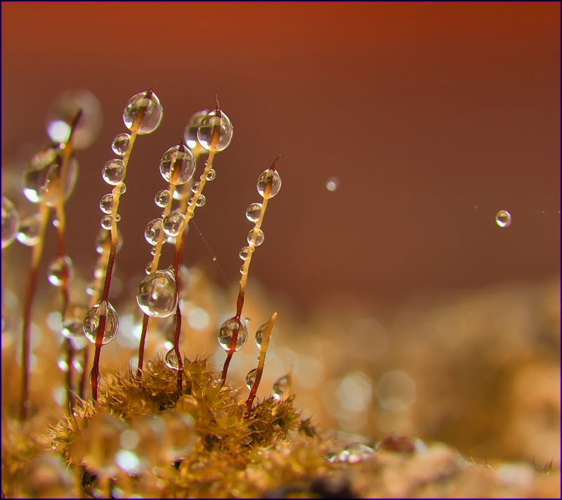 Избитое противостояние...