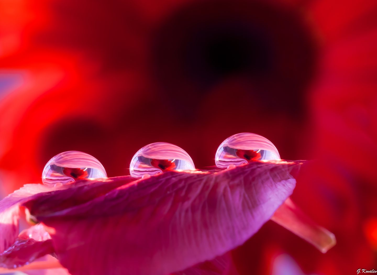 Три сестрицы под окном...