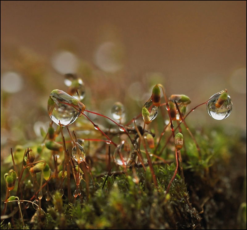 Полярность...