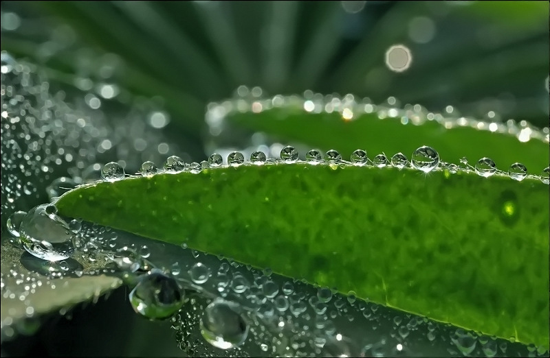 Далеко от солнца...