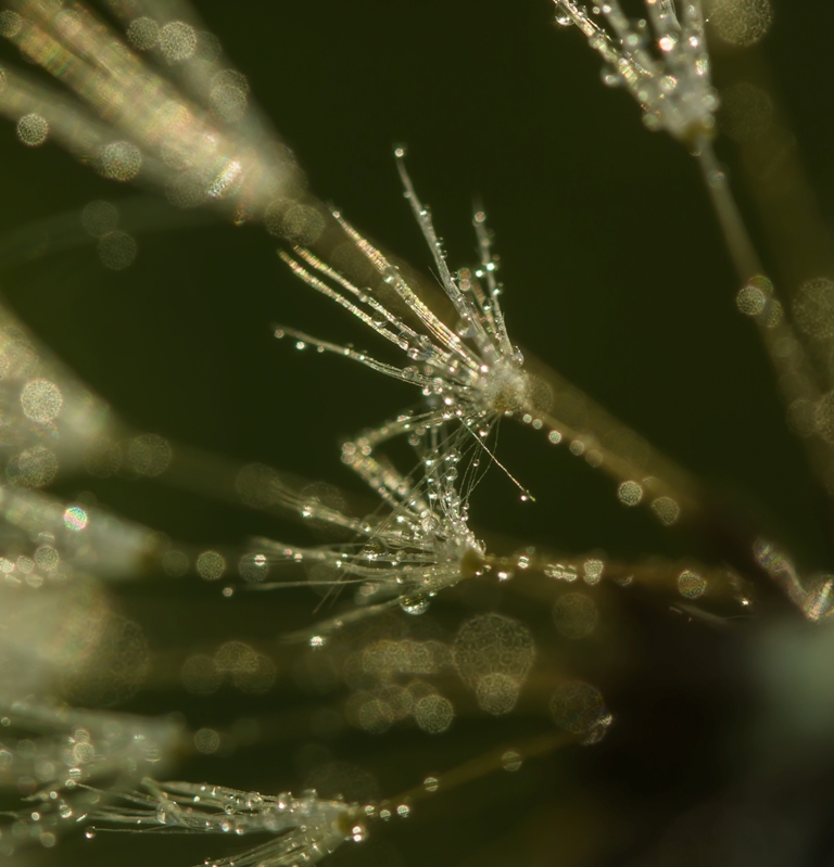 Удивительное рядом...