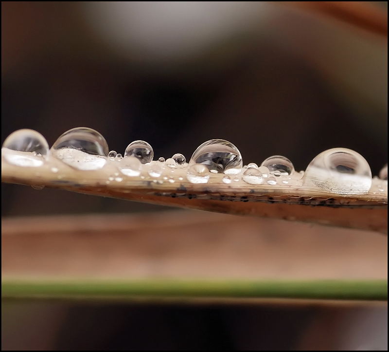 Ночные гонки...