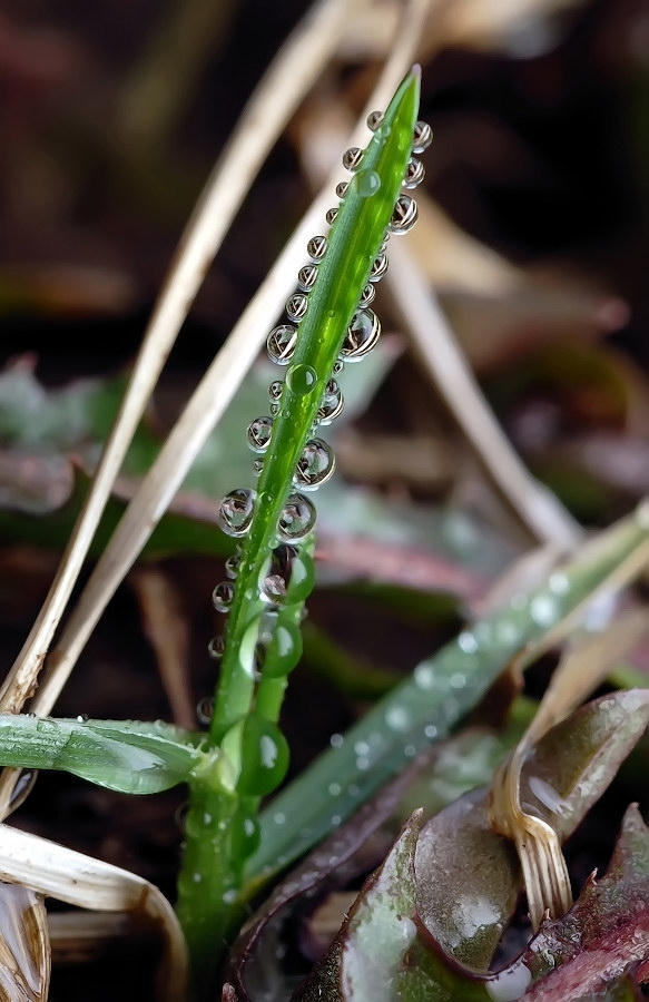 Порядок от беспорядка...