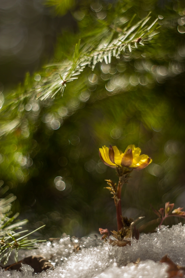 Когда все просыпается вокруг...