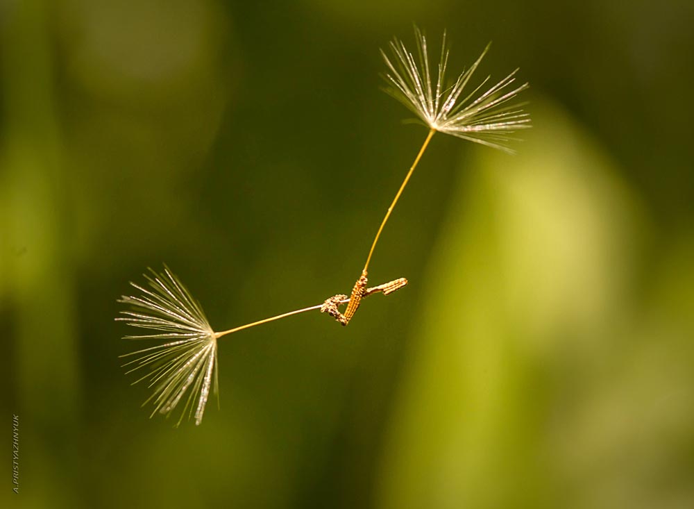 наедине с невесомостью
