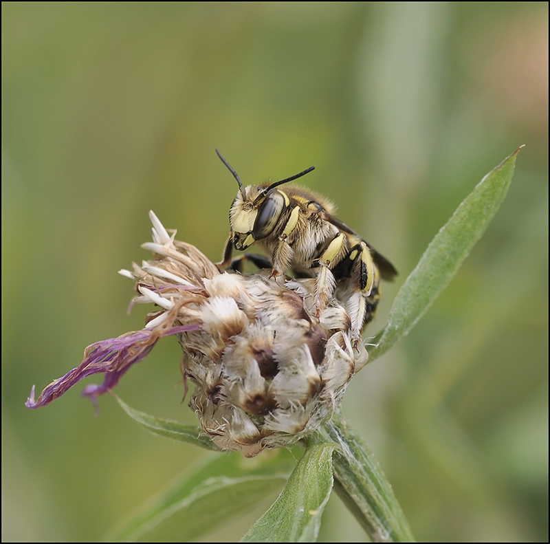 Неприветливое расставание...