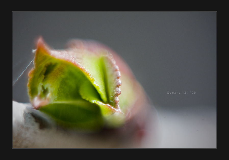 Пробуждение...