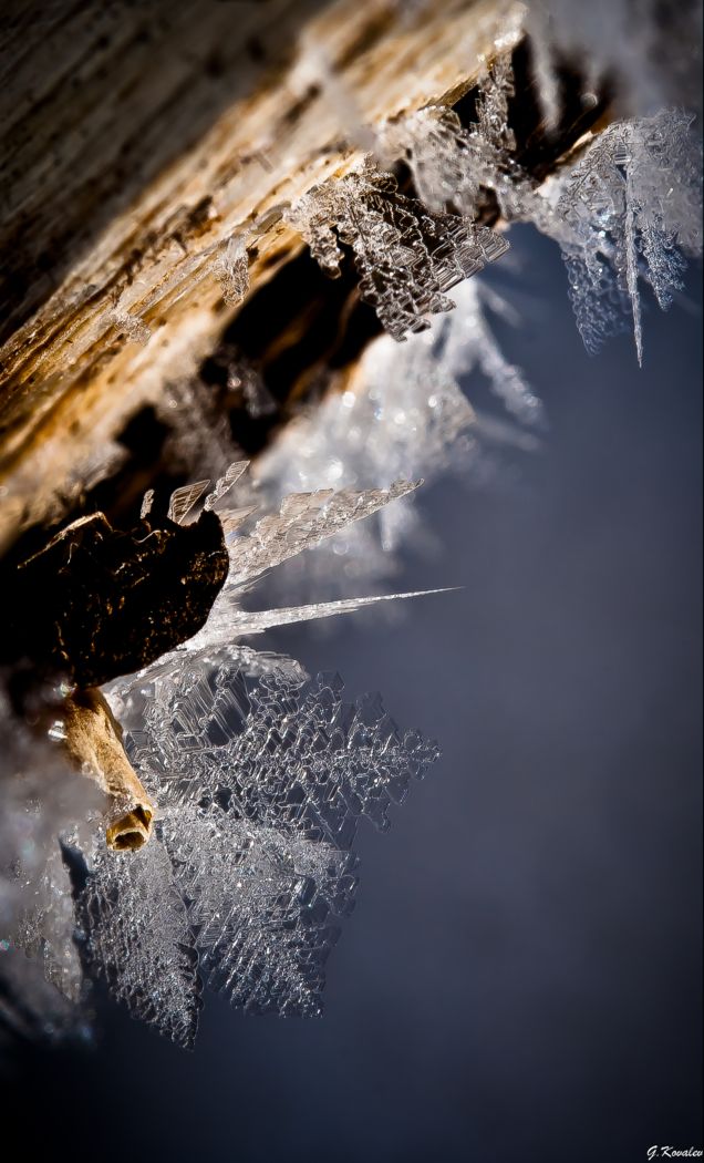 В ледяном царстве...