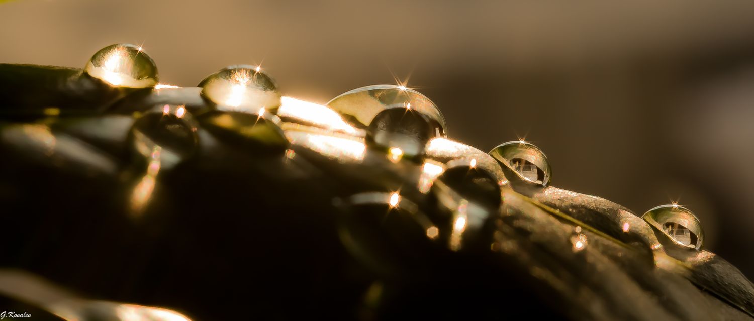 Светлячки...