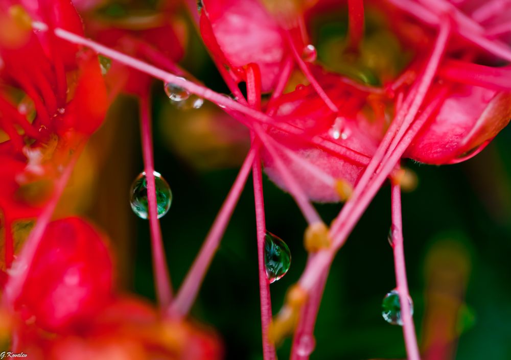 Гонки по вертикали...