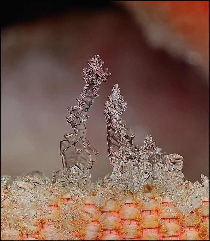 Петушок и курочка...