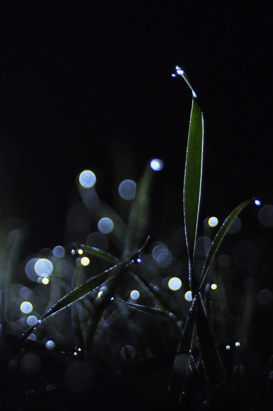 На другой планете