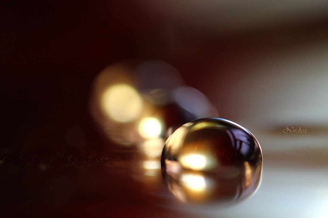 Вечер у окна