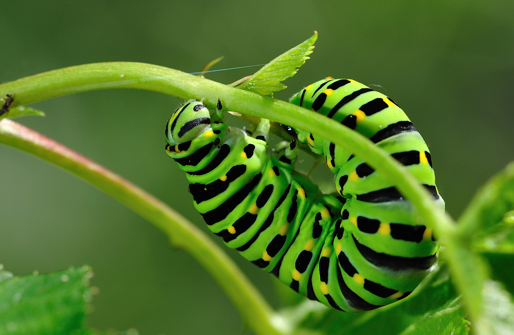 ложимся на обратный курс