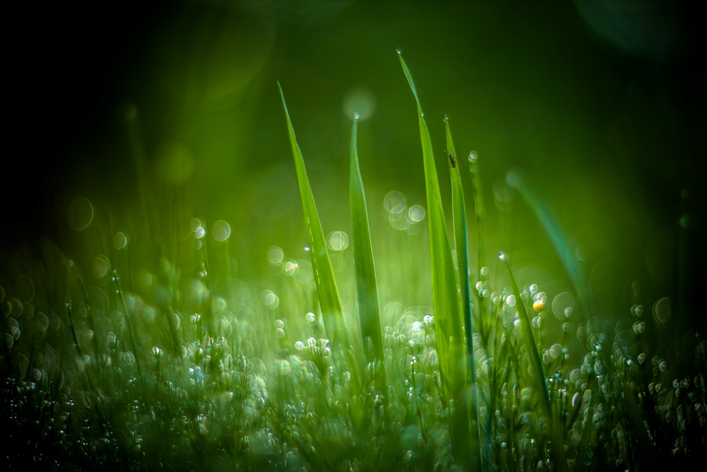 Встречая новый день...