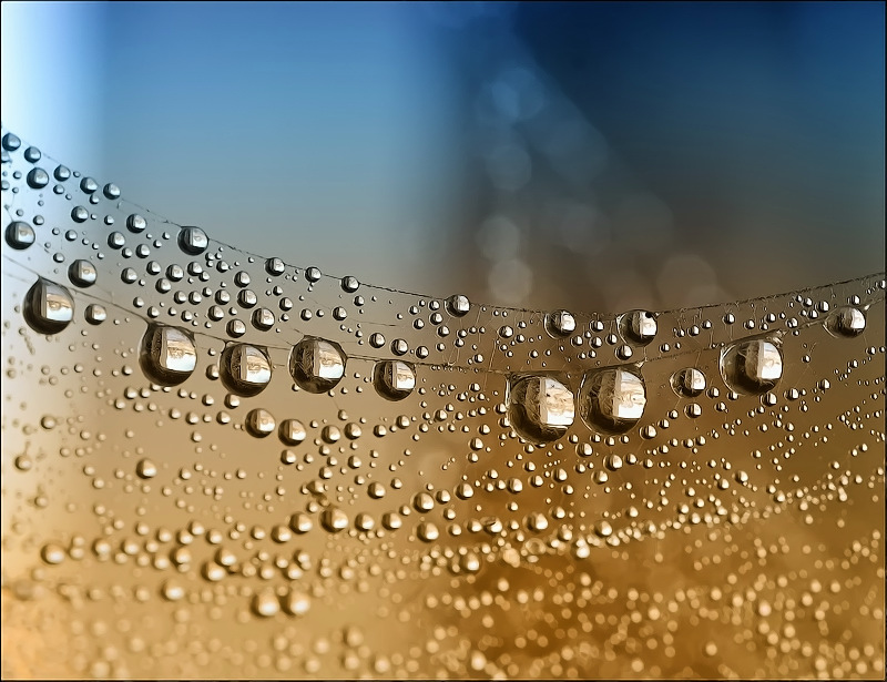 Тихие мировые...