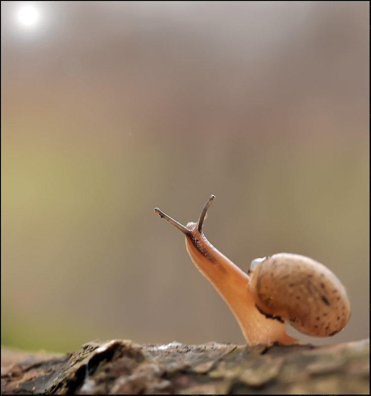 Дождливая осенняя..