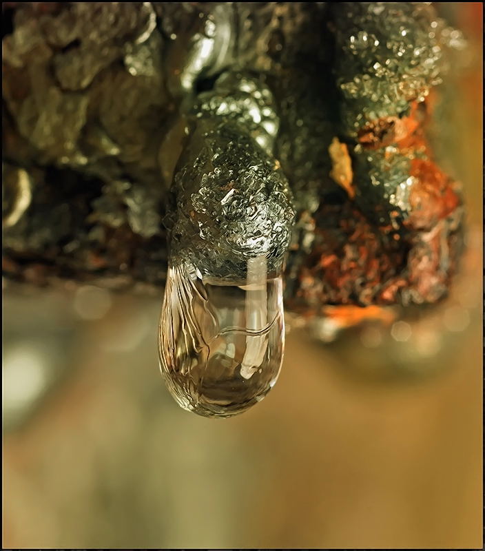 Брызги шампанского под старый новый год...