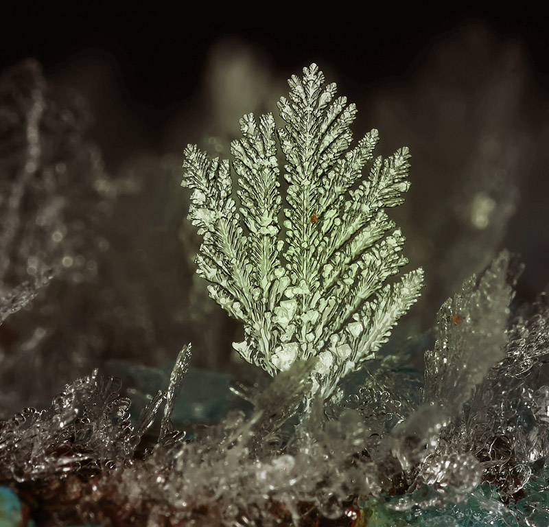 Скелето-почВЫ...