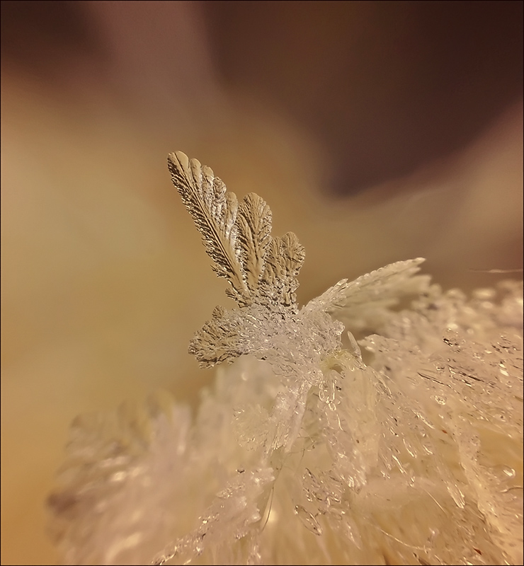 Полёт Феникса...