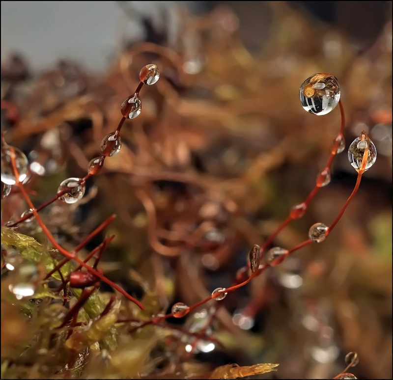 Малые земли...