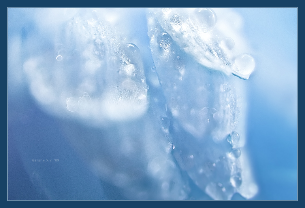 Абстракция природы 3