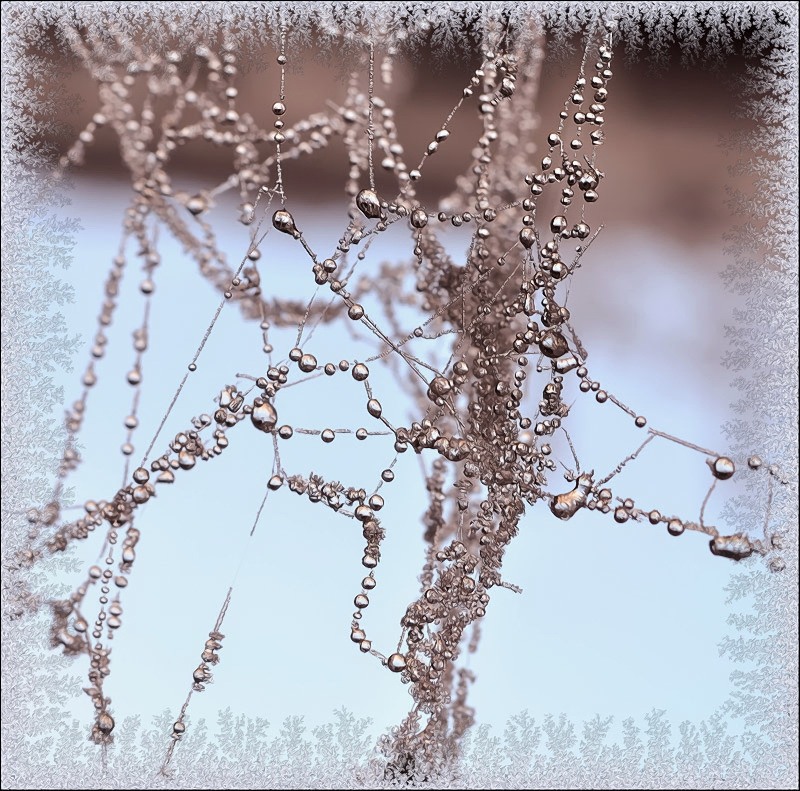 За окнами жизнь...