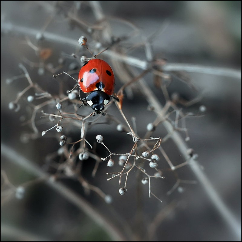 Вессенняя суета...