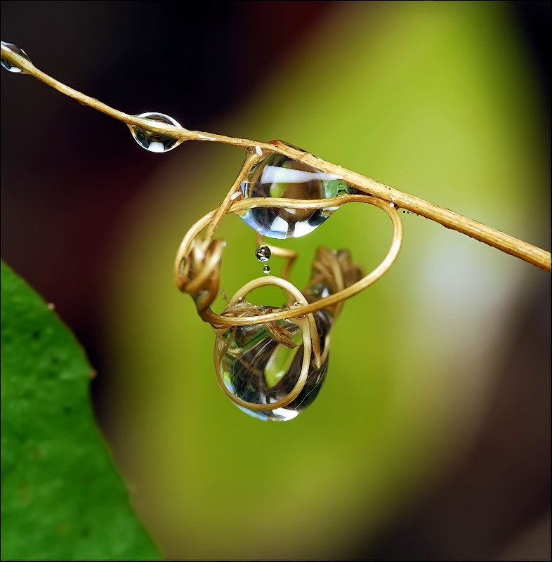 Темный рыцарь...