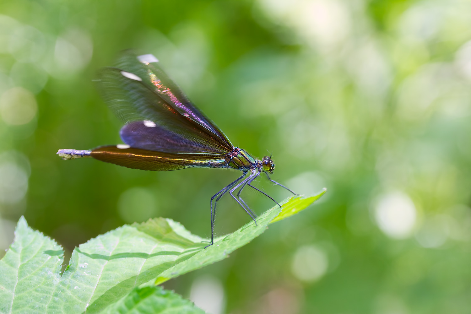 к полёту готова!