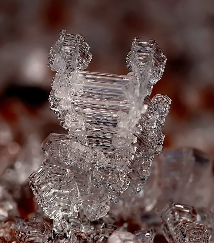 Лягушонок...