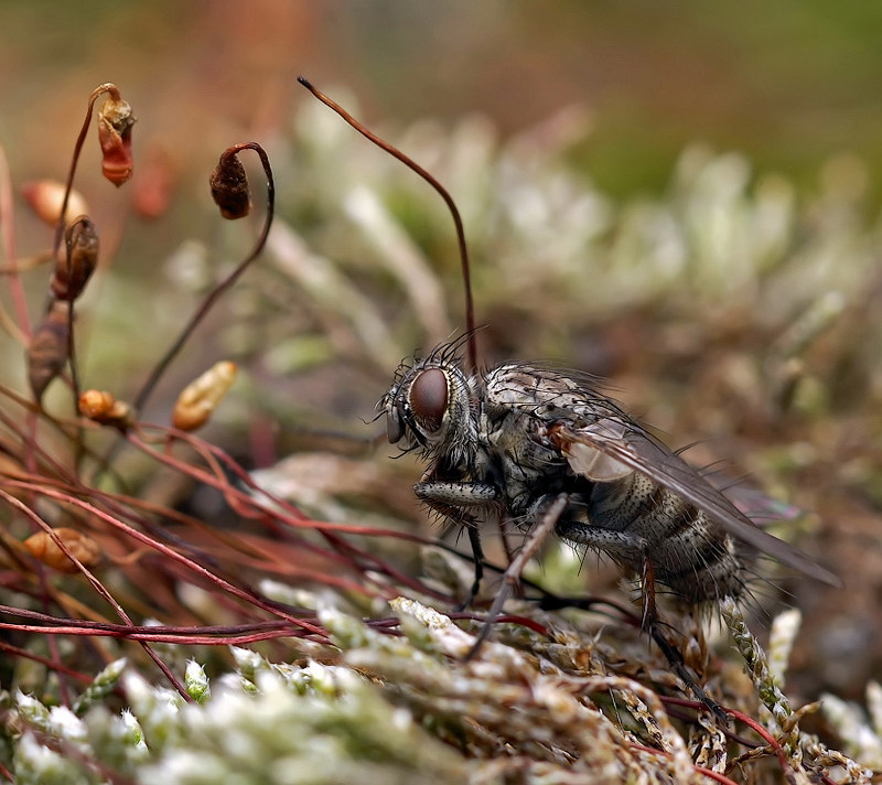 Признаки лета..