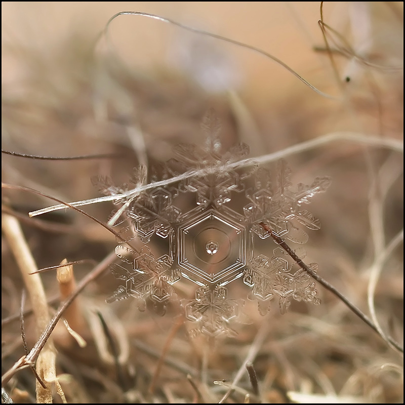 Не вышло немного...