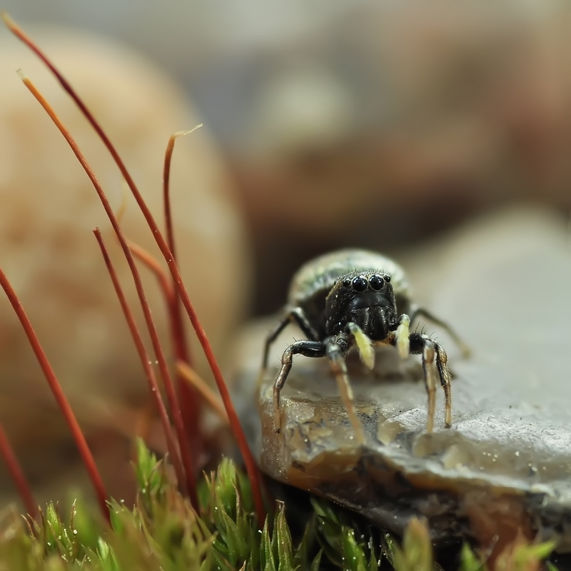 Дядя,скока время...